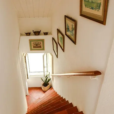 Cozy And Spacious In Graca, Appartamento *
