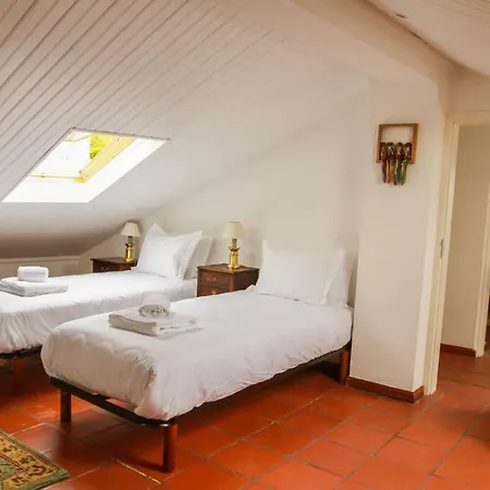 Cozy And Spacious In Graca, Appartamento *