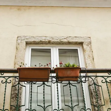 Cozy And Spacious In Graca, Appartamento *